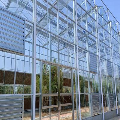 China Large stable and strong structure commercial glass greenhouse with control system for sale for sale