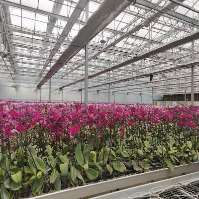 China Stable and Strong Structure Hot Sale Galvanized Multi Span Panel Steel Frame Commercial Polycarbonate Greenhouse Glass Greenhouse for sale