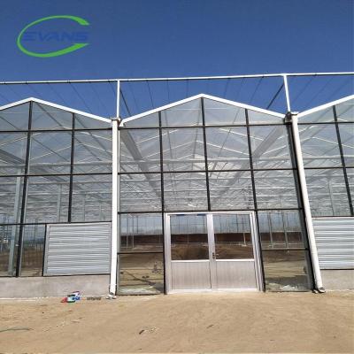 China 2020 New China Greenhouse Stable And Strong Design Glass Greenhouse For Sale for sale