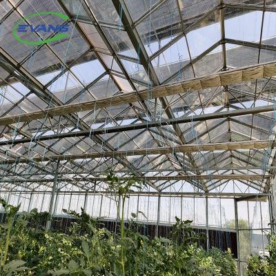 China Stable And Strong Structure Wind Resistant Venlo Type Greenhouse For Commercial Agricultural Production for sale