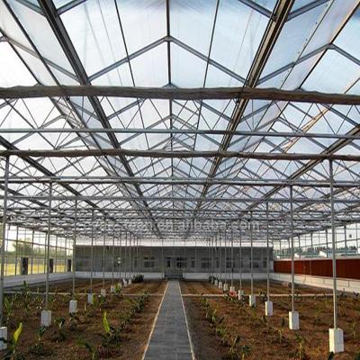 China Strong Structure Commercial Industrial Multispan Glass Greenhouse For Agricultural Planting for sale