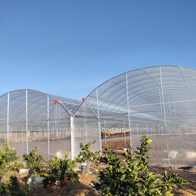 China Easily Assembled Top Vent System Tunnel Greenhouse Greenhouse For Sale for sale