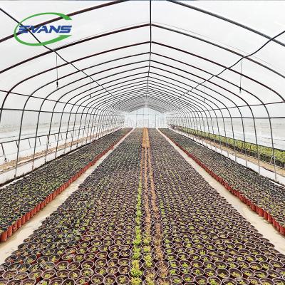 China Easily Assembled High Yield And Growth Cost Effective Controlling Tubular Greenhouse For Agriculture for sale