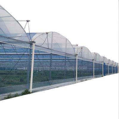 China Easily Assembled Cheap Price Multi Tunnel Used Greenhouse For Agriculture for sale