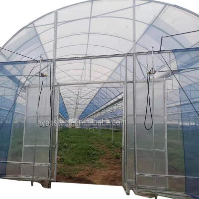 China New Easily Assembled Commercial Multi Span Plastic Film Greenhouse For Sale for sale