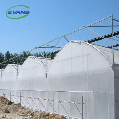 China Easily Assembled Shading Screen Thermal Plastic Film Greenhouse for sale