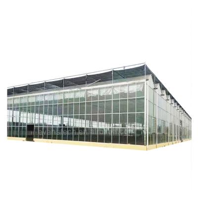 China High Transmission Complete System Agricultural Glass Greenhouse Turnkey Project With Building Support for sale