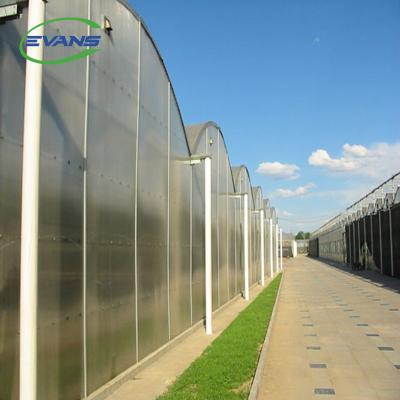 China Modern Stable Structure Good Winter Performance Fully Automated Polycarbonate Sheet Greenhouse For Tomato for sale