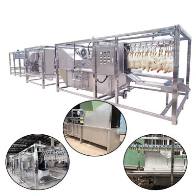 China POULTRY 500bph in South Africa chicken poultry slaughter line for sale