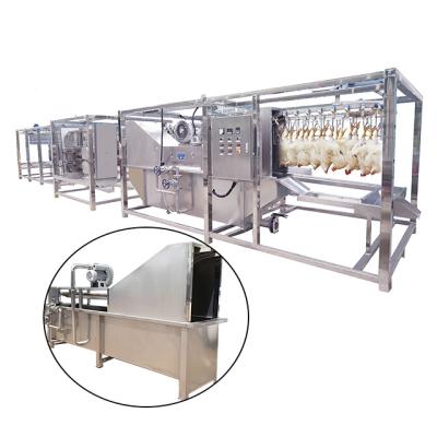 China POULTRY Chicken Halal Slaughtering Line Processing Machine for sale