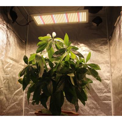 China High Quality 240W LM301H Full Stage Led Board Full Spectrum Fast Shipping Led Grow Tent Light For Indoor Garden for sale