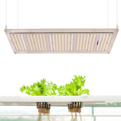 China Shenzhen Factory Full Spectrum 240W 288 Vertical Full Garden Agricultural Greenhouse Led Light for sale