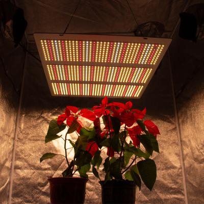 China Seed Starting Dimmable Led Board Full Spectrum LM301B LM301H Led Grow Light 640W Plant Growing Lamp for sale