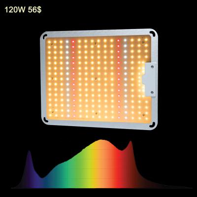 China Full Stage Indoor Led Full Spectrum 660nm 120W Q1240 LM301B LM301H DIY Led Board Grow Light for sale