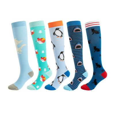 China Amazon Breathable Hot Sale Series Animal Jacquard Sports Socks Compression Socks For Prevents Swelling And Pain for sale