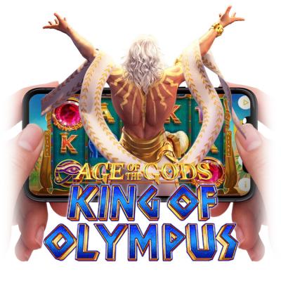 China With Phone Support King Of Olympls Slot Gaming Software Internet Games for sale