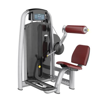 China Universal Popular Gym Installed Equipment Fitness Strength Pin Loaded Machine Back Extension for sale