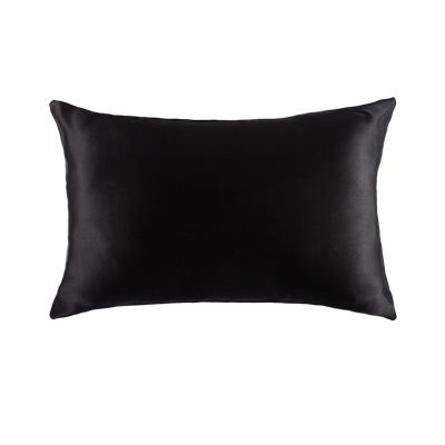 China Custom Made Blackberry 100% Silk Large Deal Pillow Anti-Static 16/19/22 Mm With Zipper for sale