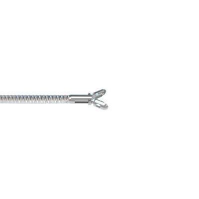 China CE Marked Gastroenterology Forceps Disposable Convenience Accessory Biopsy (Uncoated No Spike) for sale