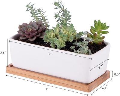 China Europe White Ceramic Succulent Planter Pot With Bamboo Base for sale