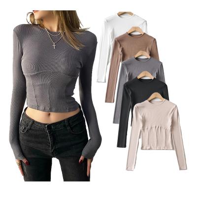 China Cotton Women's Casual Basic White T-Shirt Stylish Long Sleeve Anti-Shrink Full Sleeve Spring Crop Tops for sale