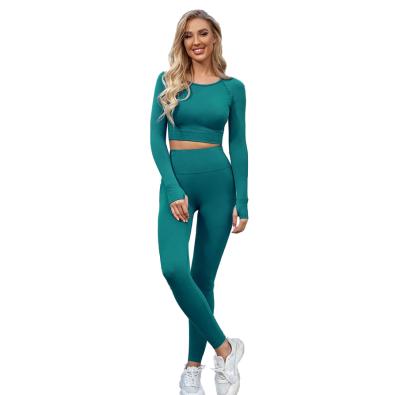 China Hot Selling Seamless Seamless Long Sleeve Yoga Pants Set for sale