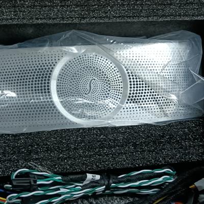 China AUTO CAR Roof Reading Light Ambient Light Roof Top Upgrade LED Speaker For Mercedes Benz CGL Class W253 for sale