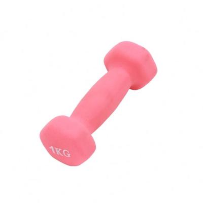 China Best Quality Anti-Slip Weights Adjustable Women Hexagon Rubber Gym Hex Adjustable Mens Fitness Dip Dumbbell for sale