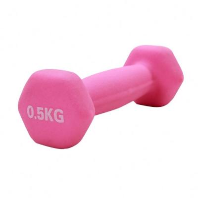 China 2021 Anti-Slip Hot Sale Hex Melt Environmental Protection Rubber Change Plates Dip Dumbbell 10Kg Fitness for sale