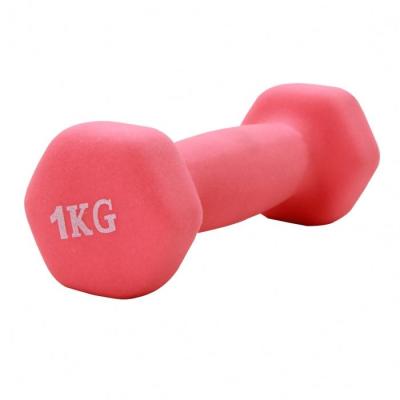 China Premium Custom Adjustable Dumbbell 25Lb Dumbbell Dip Weights Fitness Gym Strength Training Anti-Skid Home Iron Body Sculpting Dumbbell for sale