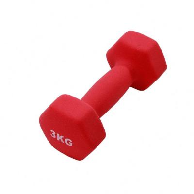 China Anti-Slip Modern New Design Adjustable Dip Dumbbell Rack Workout Weighs Gym Equipment Dip Dumbbell Set for sale