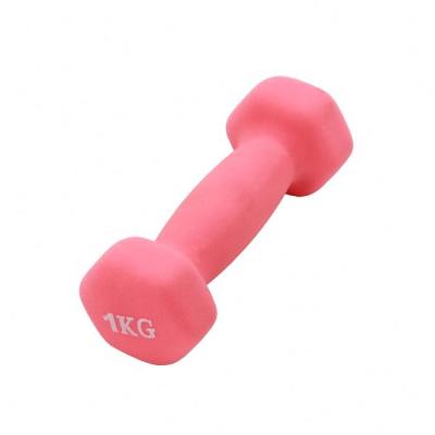 China Best Home Fashion Anti-Slip Rubber Coated Dip Set 10Kg Adjustable Dumbbell Adjustable Set 40Lb for sale