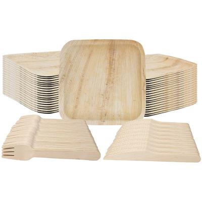 China Disposable Compostable Eco Friendly Areca Palm Leaf Square Dishes Set 8 Inch for sale