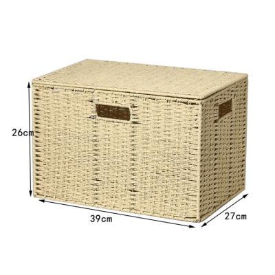 China Viable Home Use Large Rope Woven Snack Books Sundries Storage Paper Basket With Lid 39x27x26cm for sale