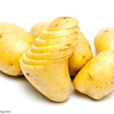 China Fresh manufacturing potato chips fresh potato prices for sale