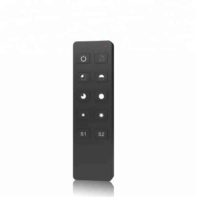 China Skydance R1 10 Keys Low Brightness RF Remote Control Dimmer 2.4G LED Dimming Wireless Controller L135*W40*H11mm for sale