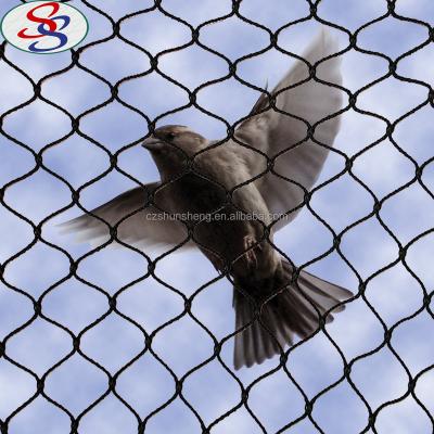 China Black Anti Bird Anti Bird Agricultural Hunting Net For Catching Bird for sale