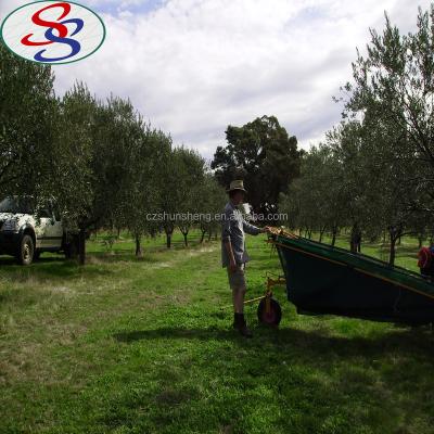 China Ripe Harvest Cover Plastic Collection Mesh UV Treated Olive Net for sale