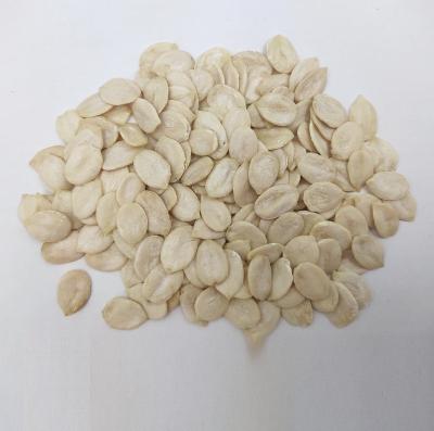 China Dried Chinese Watermelon Seeds Kernel Hybrid Watermelon Seed Watermelon Seeds Kernel for sale