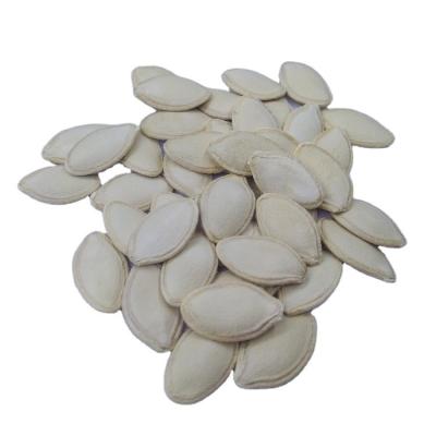 China Best Quality New 2016 White Snow Pumpkin Seeds Dry Cultivation for sale