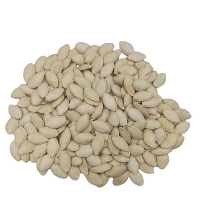 China 2017 Inner Mongolia Dried White Shine Skin Pumpkin Seeds Harvest for sale