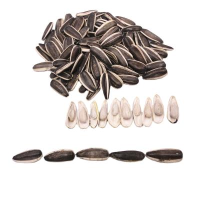 China Large Dry Striped Raw Sunflower Seeds from Bayannaoer for sale