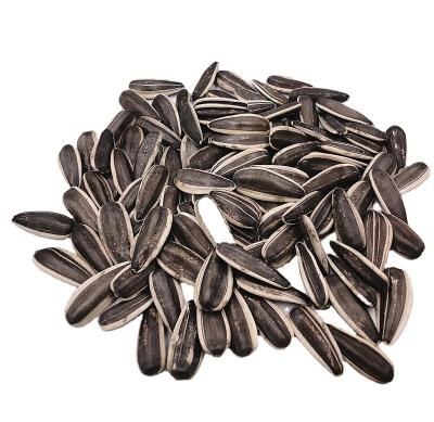 China Dried excellent fresh low price new sunflower seeds for roast for sale