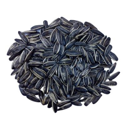 China Dried excellent fresh low price new sunflower seeds for roast for sale