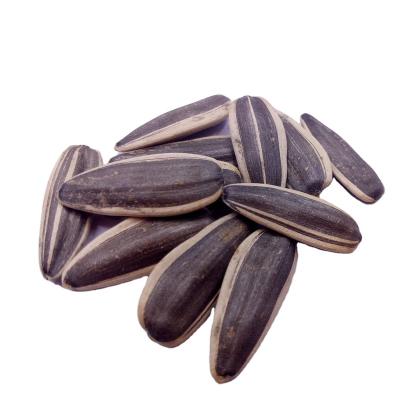 China Dry Snack Sunflower Seeds Long Type for sale