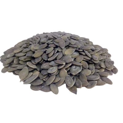 China Dried For India Market roasted salted pumpkin seed for sale