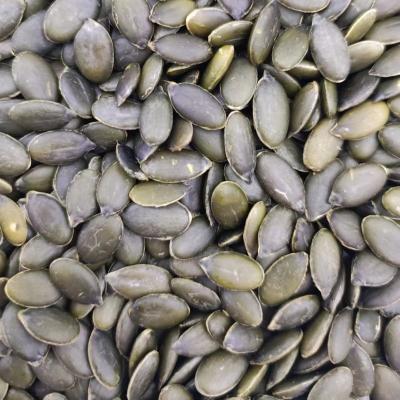 China Kernel pumpkin seeds and dry wholesale pumpkin seed have European certification for sale