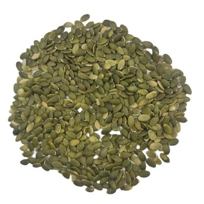 China China Styrian Dried Pumpkin Seed for sale