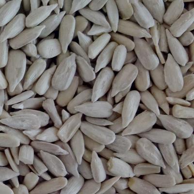 China China Dry Bakery Hulled Sunflower Seed Kernel for sale