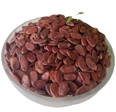 China High quality new dry crop waternelon seeds for America for sale